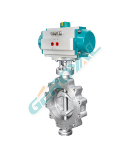 ANSI/DIN/JIS Butterfly Valve